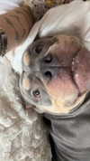 shelby.xsmith Altpins Profile Picture