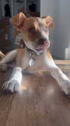 olivia.bolgerr Altpins Profile Picture