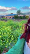 yaarat11 Altpins Profile Picture