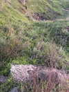 yahel_tubul Altpins Profile Picture