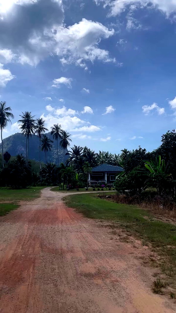 tamagotkri archive video preview