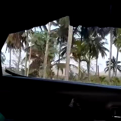 asaf_o1 archive video preview