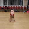 ellianawalmsley Altpins Profile Picture
