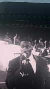 payton.r Altpins Profile Picture