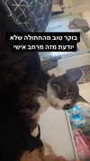 ronyida_ Altpins Profile Picture
