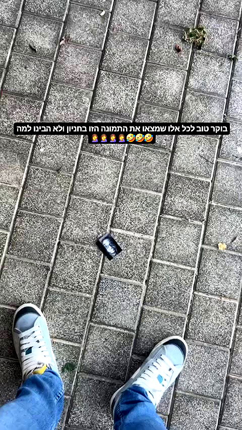 barzomer archive video preview