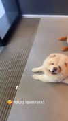 nicole_ac Altpins Profile Picture