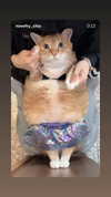 alice_hez Altpins Profile Picture