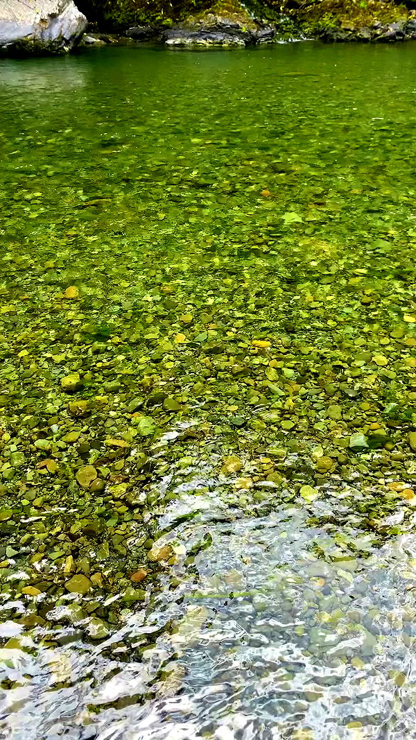 aleiisha.piixiie archive video preview