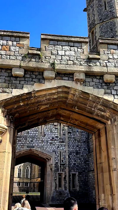 taylor.creeden taylor.creeden archive video