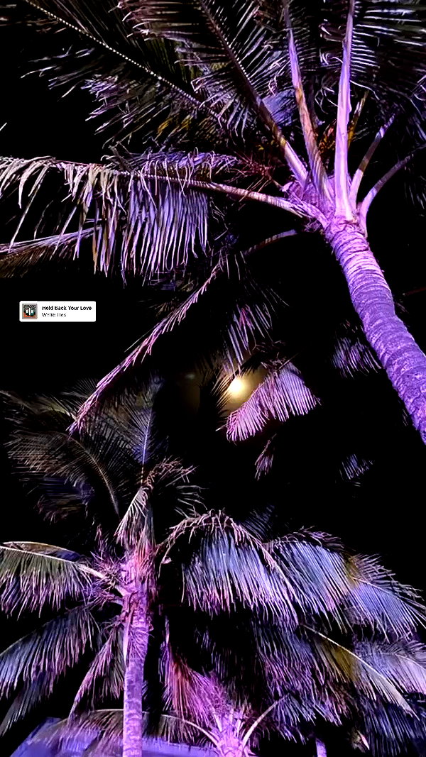 phuong.chi_ archive video preview