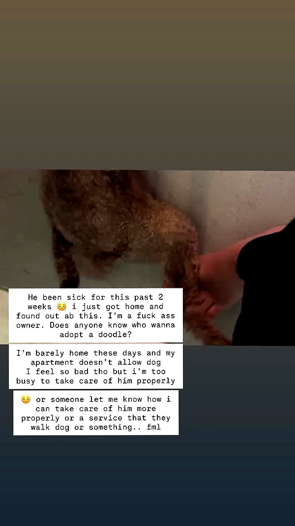 kteaworld archive video preview