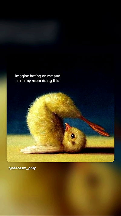 _lil_noa_ _lil_noa_ archive video