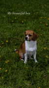 kyla.doddsss Altpins Profile Picture