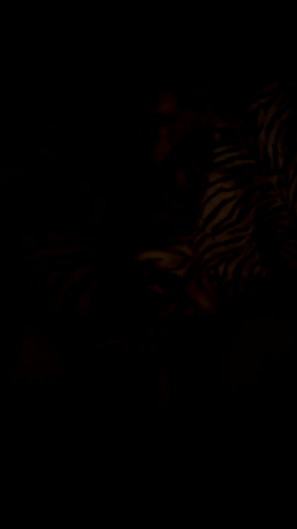 assoolin archive video preview