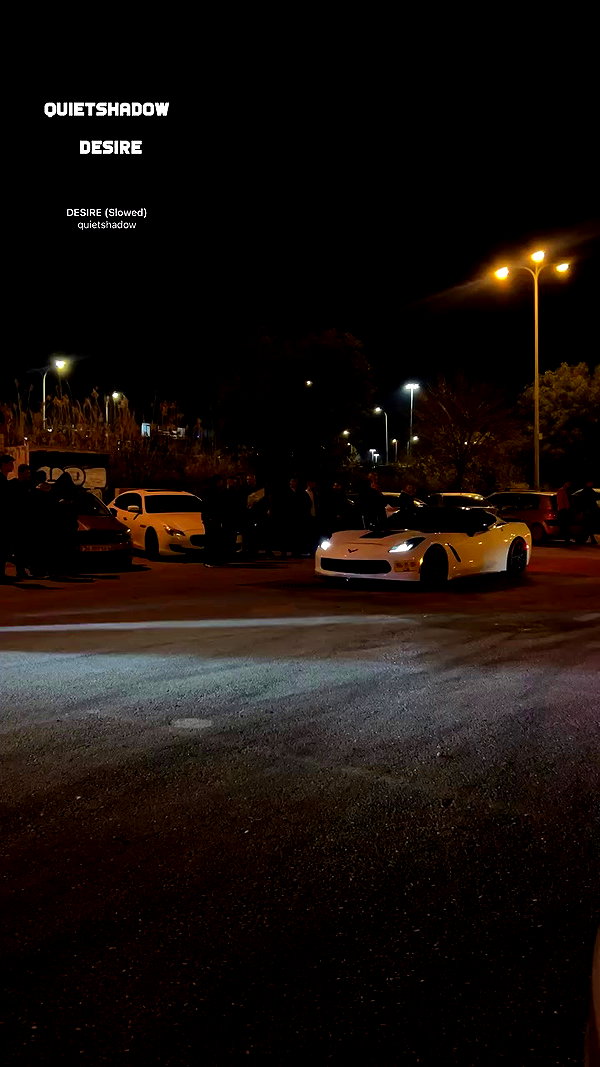 simp_for_cats_ archive video preview