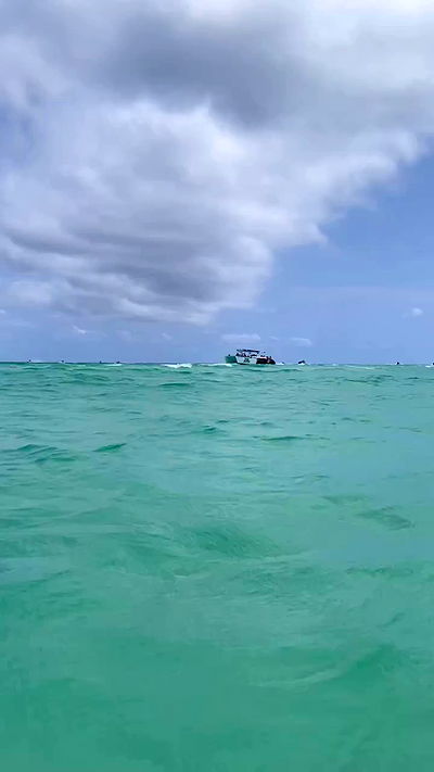 shunli__mei shunli__mei archive video