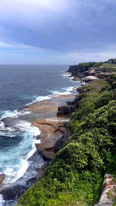 taylor.creeden taylor.creeden archive video