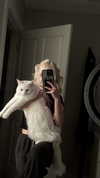 jessie.ra3 Altpins Profile Picture