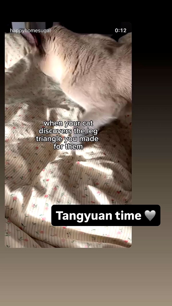 sugarcoatedkiss archive video preview
