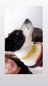 curlyfriesjazz Altpins Profile Picture