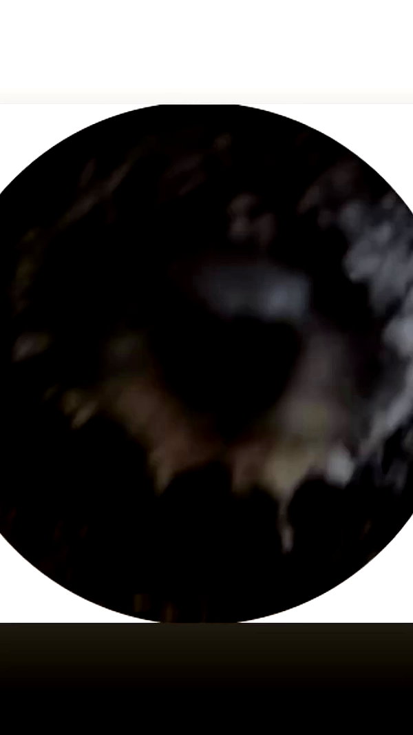 ptpchik archive video preview
