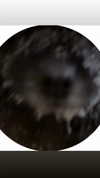 ptpchik Altpins Profile Picture