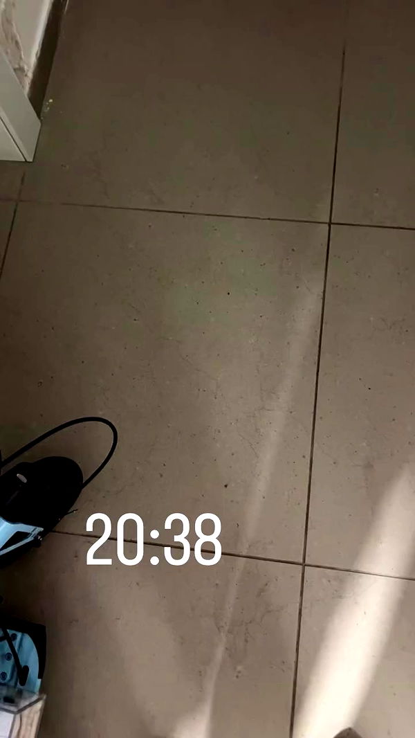 rene2141 archive video preview