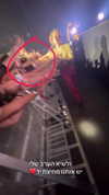 nicole.shpo Altpins Profile Picture