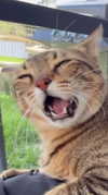 edin.karyn Altpins Profile Picture
