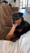 olivia.mathers Altpins Profile Picture