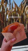 taylorballarddd Altpins Profile Picture
