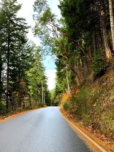 taylor.creeden taylor.creeden archive video