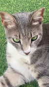 babynympho_archive Altpins Profile Picture