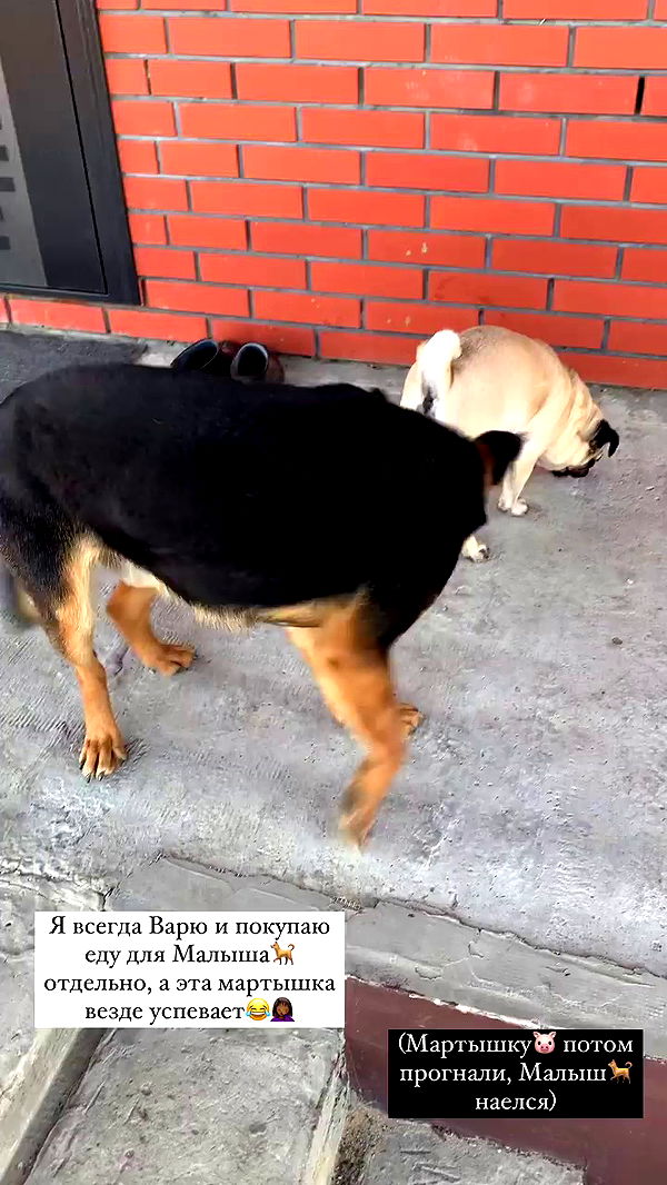 nyityam archive video preview