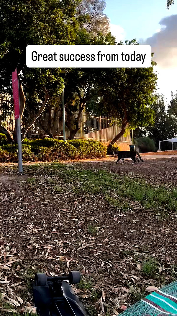 iconic_danik archive video preview