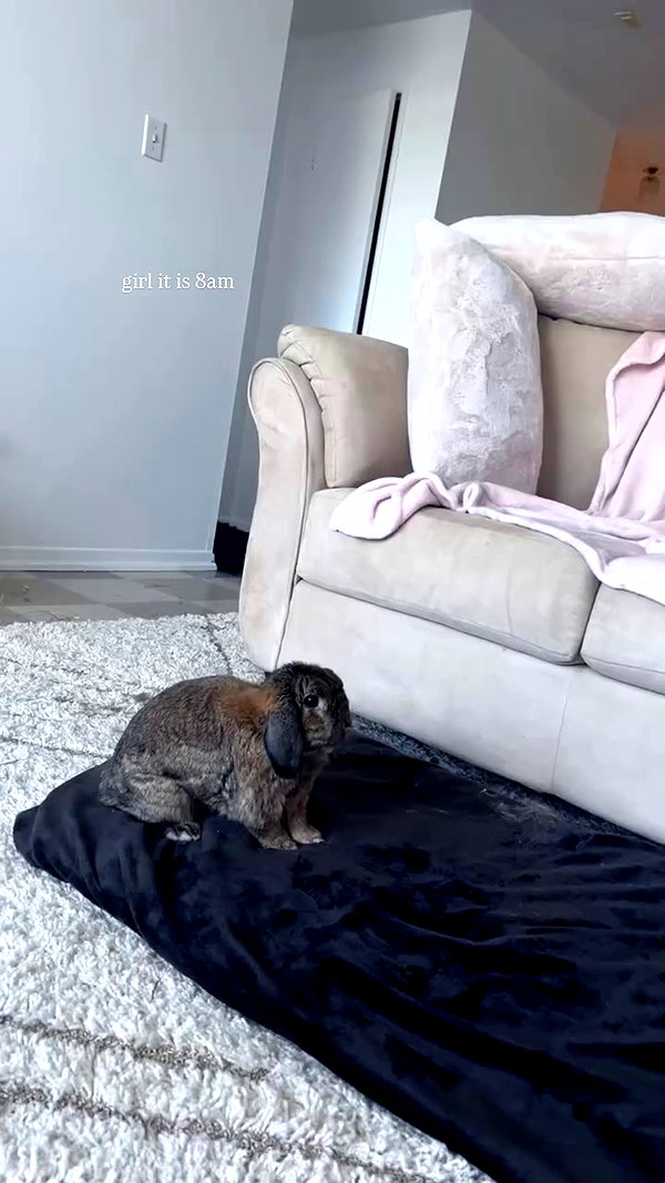 danielle.mercedie archive video preview