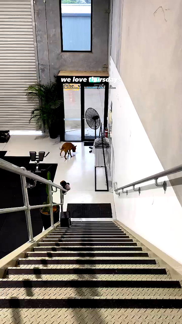 olivia.mathers archive video preview