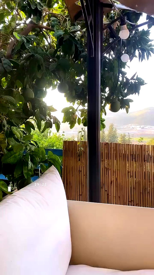 shaharo__._ archive video preview