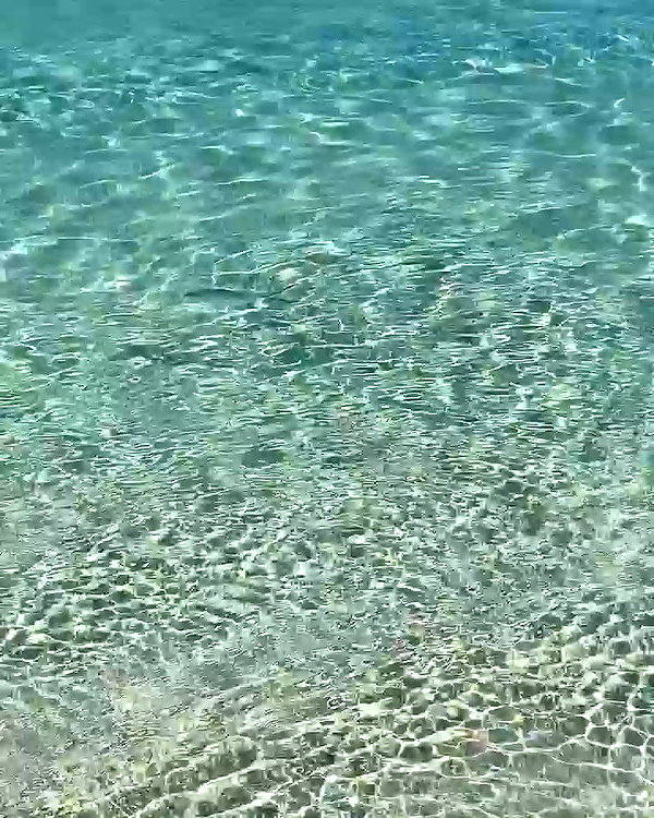 sullivang_ archive video preview