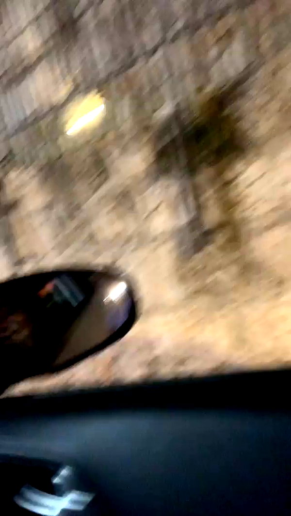 eitan.420 archive video preview