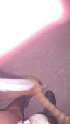 babynympho_archive Altpins Profile Picture