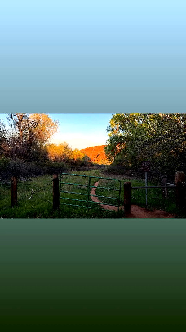 sullivang_ archive video preview