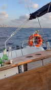 bulochka__777 Altpins Profile Picture