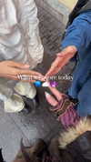 ayguldavlletova Altpins Profile Picture