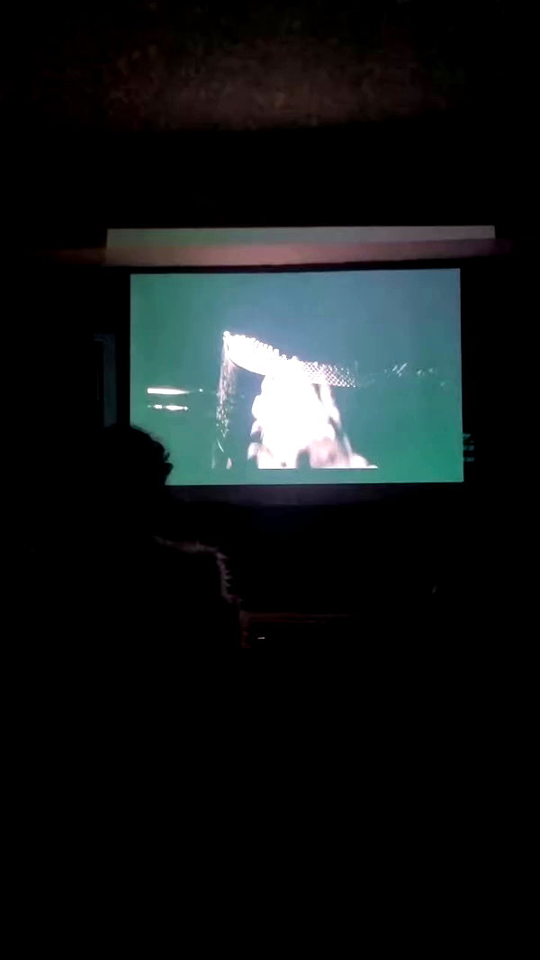 shayli_or archive video preview