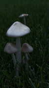 machine_mommy Altpins Profile Picture