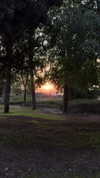 mishel_d_ Altpins Profile Picture