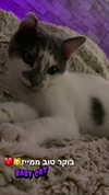 lera.genadenik Altpins Profile Picture