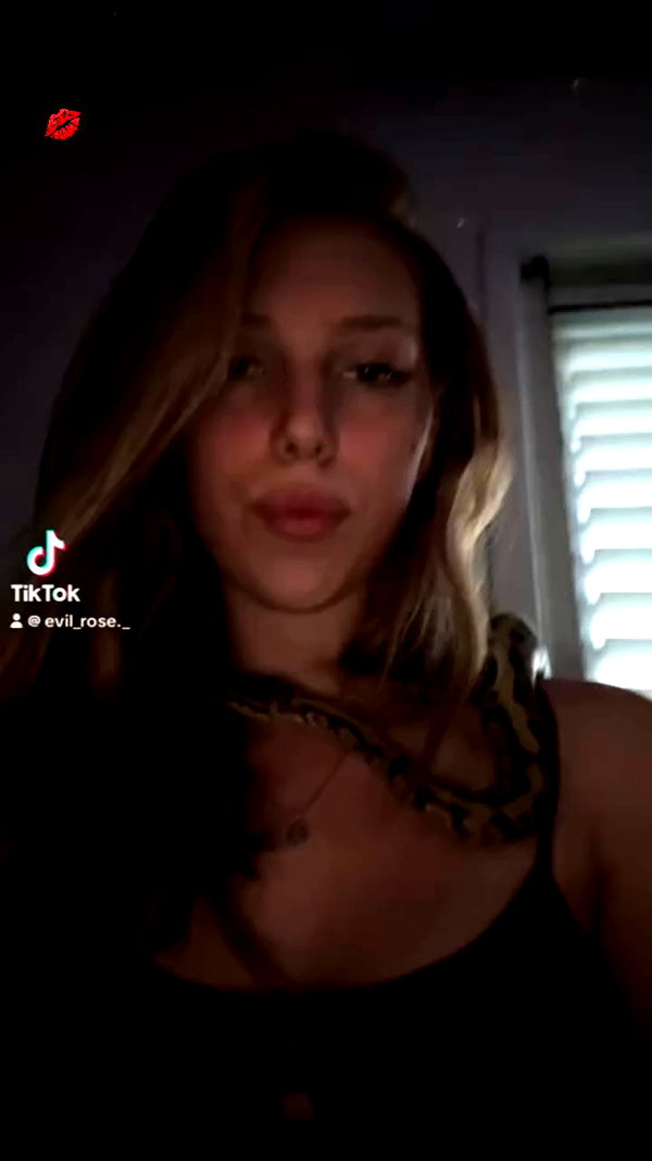 _.shelichka._ archive video preview